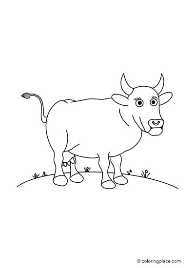 cow coloring page