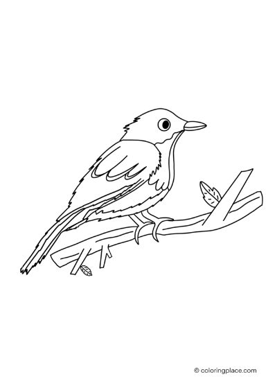 little bird coloring page