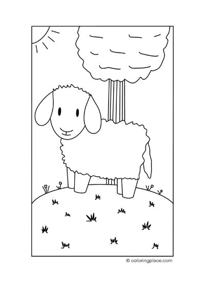 small sheep coloring page