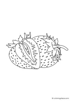 one whole strawberry and one sliced strawberry coloring sheet