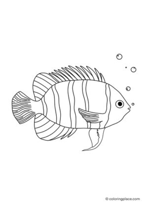 Sea animals | Coloring Place