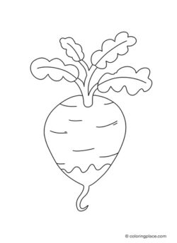 red beetroot with leafs coloring sheet