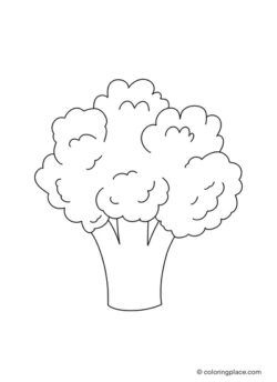 green whole broccoli as a coloring page