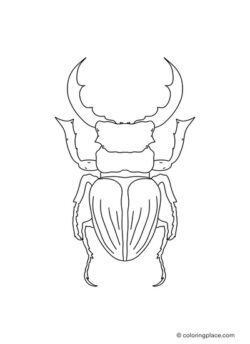 big stag beetle as a coloring page to draw