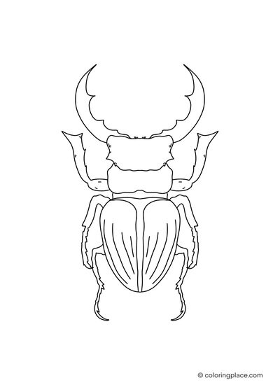 stag beetle coloring page