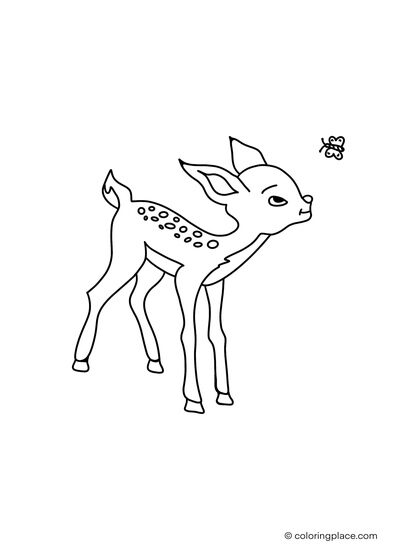 motive of a deer playing with a butterfly for drawing