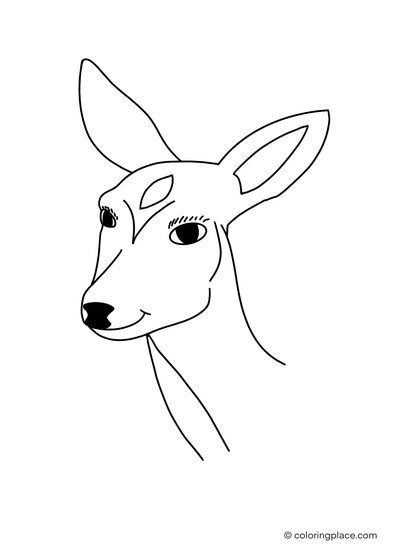 portrait shot of a smiling deer for coloring