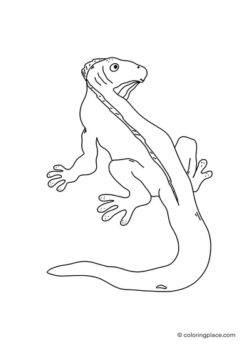 giant iguana coloring page