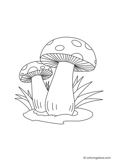 coloring page of two dotted poisonous mushrooms