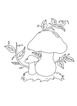 Coloring of two porcini mushrooms with ranks in the background