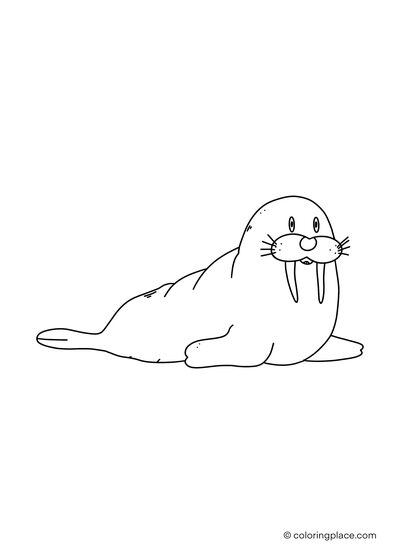 coloring sheet of a cute walrus laying on the ground