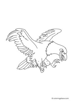 drawing of an hunting eagle flying through the air
