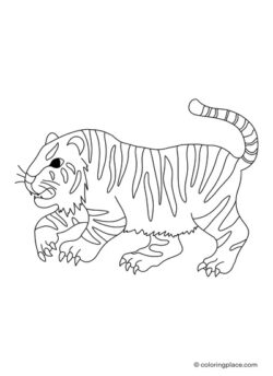 coloring page of a dangerous looking tiger