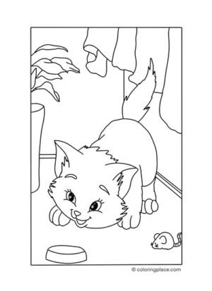 Verspieltes Kätzchen als Malvorlage zum Ausdrucken und Zeichnen für Kinder und Erwachsene
