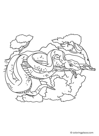 Python coloring page